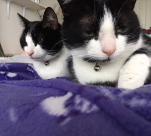 Meet your Posher, Kaitlyn